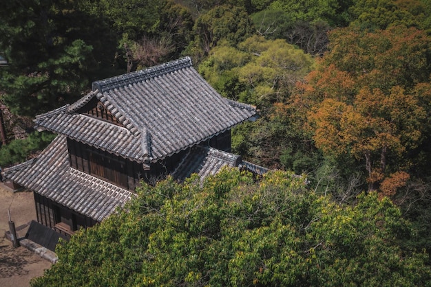 Aerial shot of Jeonju Hanok Village, showcasing the traditional Korean houses with curved roofs and narrow alleys, bustling with tourists in traditional clothes. The image should highlight the historical charm and cultural richness of the village.